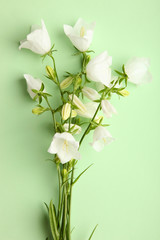 white flowers bells