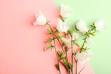 Obraz na płótnie Canvas white flowers bells