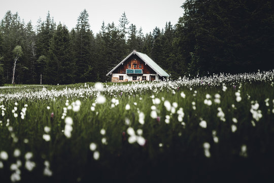 Haus am Frillensee in den Chiemgauer Alpen bei Inzell in Bayern 