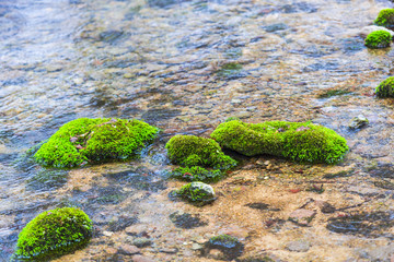 Frozen wild river inside of the forest