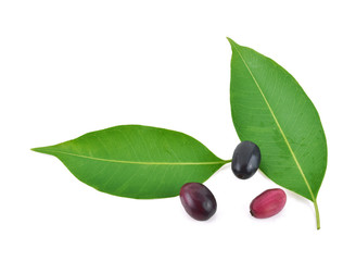 Jambolan plum or Java plum on white background