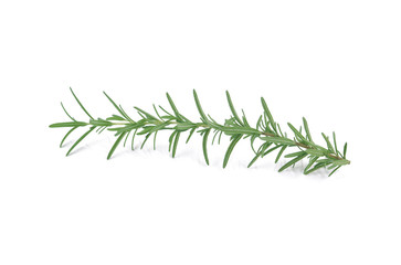 rosemary isolated on white background