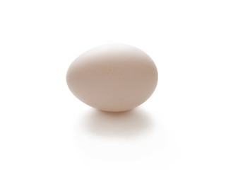 White egg on white background