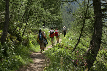 group of hikers on a trial on the mountain