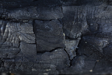 burned wood. black wood from the fire. rings on wood. ash. wood burnt on coal