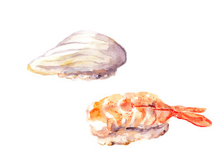 Watercolor painted drawing - sushi with ebi shrimp and cuttlefish