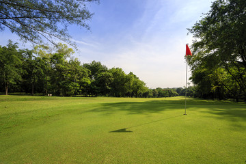 View in golf course with blue sky background