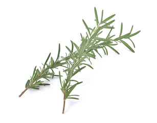 Rosemary isolated on white background