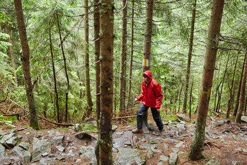 Woman hiking in the forest