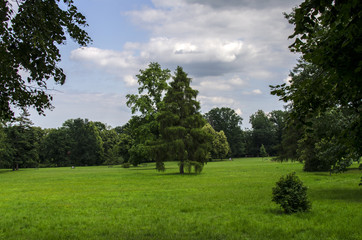 ogród park  © wedrownik52