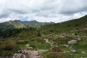 Fototapeta na wymiar Lagorai mountain range in the eastern Alps in Trentino, Italy 