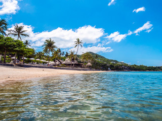Fototapeta premium Beautiful tropical beach and sea with coconut palm tree