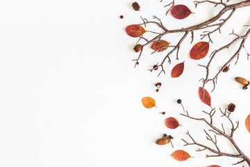 Autumn composition. Frame made of autumn dried leaves on white background. Flat lay, top view, copy...