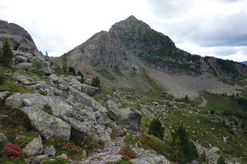 Lagorai mountain range in the eastern Alps in Trentino, Italy