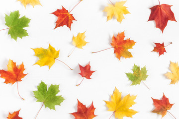 Autumn composition. Pattern made of autumn maple leaves on white background. Flat lay, top view
