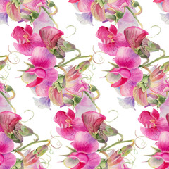 Pink watercolor wildflowers