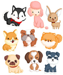 Fototapeta premium Dogs Type Vector Set