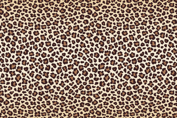 Animal leopard spots fur, horizontal texture. Vector