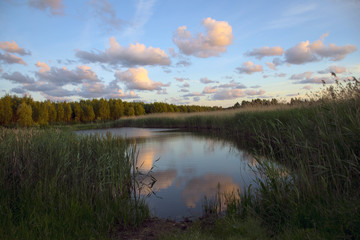 Fototapeta premium nad morzem