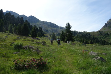 Lagorai mountain range in the eastern Alps in Trentino, Italy