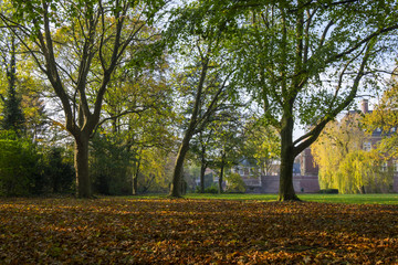 Schloßpark Ahaus, Herbst