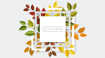 Autumn nature geometric frame with branches and leaf. Vector illustration for fall nature design and background - 212750126