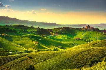Naklejka premium Langhe vineyards sunset panorama, Castiglione Falletto, Piedmont, Italy Europe.