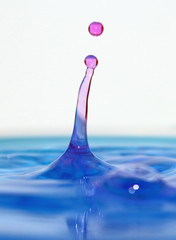 Pink water splashes into blue water on a white background.