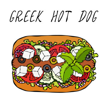 Greek Hot Dog. Feta Cheese, Basil. Olives, Lettuce Salad, Tomato, Cucumber. Fast Food Collection. Hand Drawn High Quality Vector Illustration. Doodle Style.