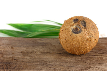 A coconut with shell