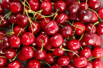 delicious cherry fruit