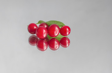 berries of ripe cherries and their reflection on a mirror surface, on an isolated background