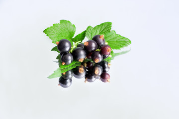 berries of black currant and their reflection on the mirror surface, on an isolated background