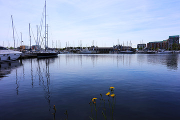 Ipswich Riverside