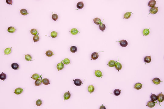 .Delicious green and pink gooseberries on a pink background.
