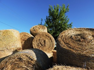 Balas de paja