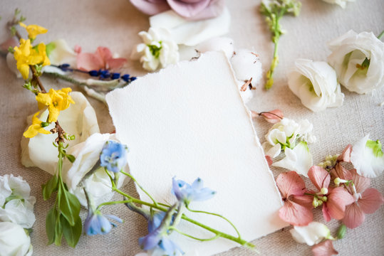 Still life of blank paper note with flower heads and stems, overhead view