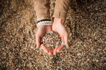 girl holding various mediterranean sea shells in hands closeup