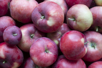 Pile of ripe red apples closeup. Natural background