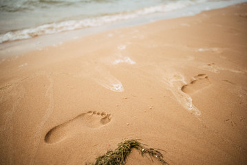 Footprints in the sand at sunset. Beautiful sandy tropical beach with sea waves. Footsteps on the shore.