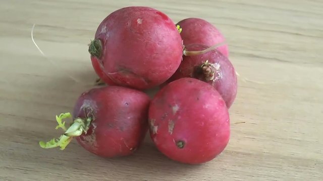 Bunch of ripe radishes. Food background. Close up rotation