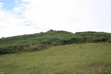 Obraz premium Colina