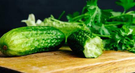fresh hommade cucumber on the board with salad parsley dill celery