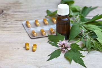 Leaves and flowers of a medicinal plant of the motherwort (Lat. Leonurus) and a sedative medicines on a wooden background. Free space for text. Close-up view