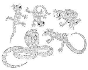 Coloring page with reptiles in patterned style.