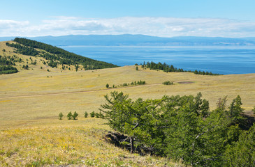 Fototapeta na wymiar Baikal Lake in the summer. Typical for Olkhon Island is a steppe landscape with little copse of larch trees. A soil road leads to Khoboy Cape