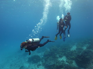 Fototapeta na wymiar Buddy group of scuba diver, diving in crystal clear water in Labuanbajo, Flores, Indonesia
