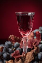 Crystal glass of red wine and grapes with dried vine leaves.
