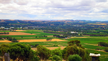 Obraz premium Landscape in Barossa Valley, South Australia