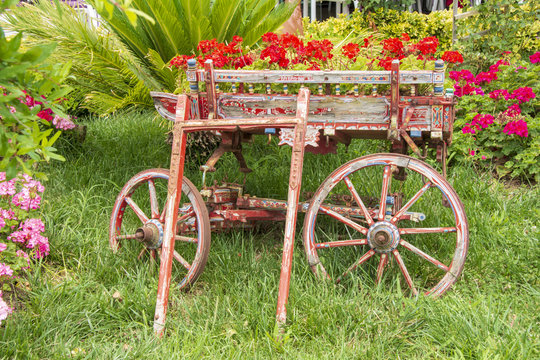 &ccedil;i&ccedil;ek bah&ccedil;eleri